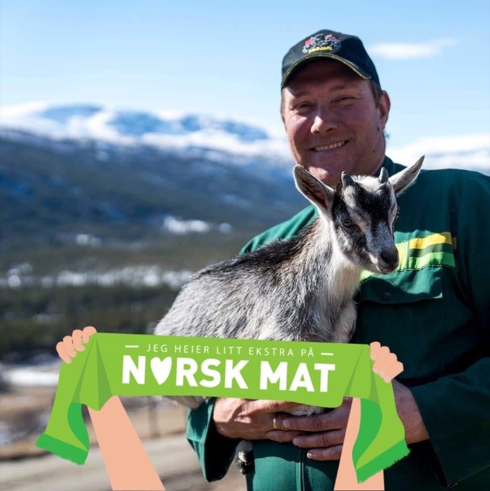 Ole Øvrejorde blant geitene